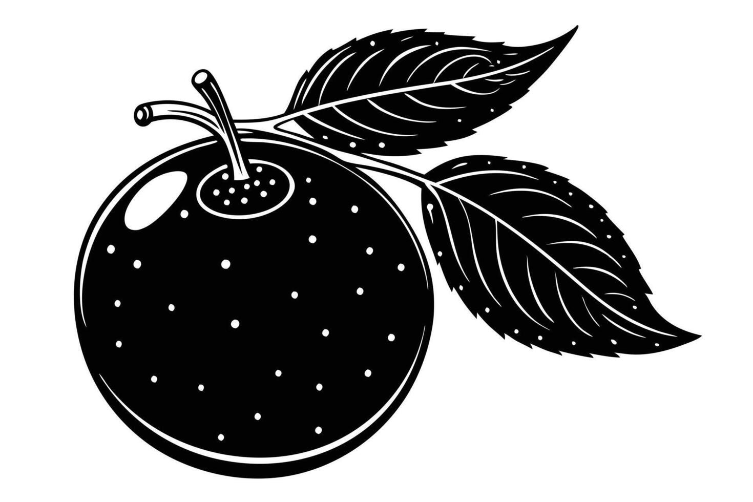 Vintage Black and White Illustration of an Apple with Leaves vector