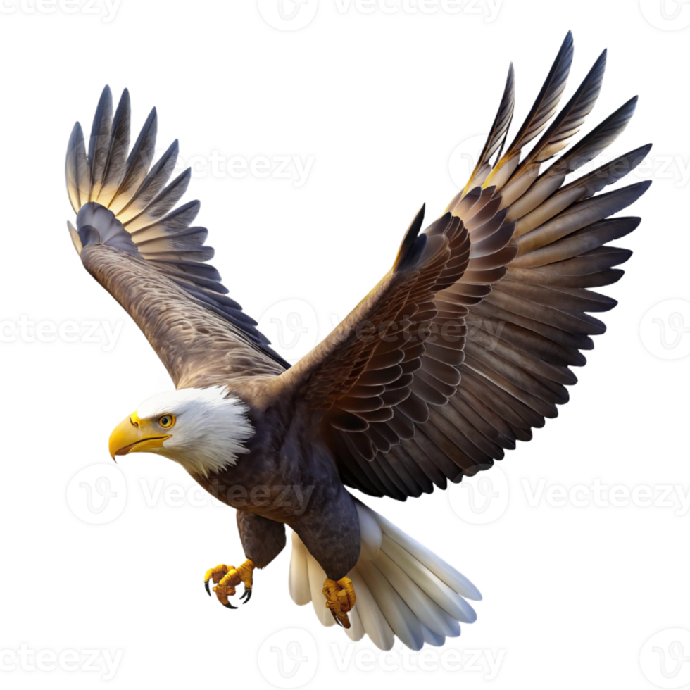 extraordinary contemporary A Majestic Bald Eagle Soaring Through a high quality png
