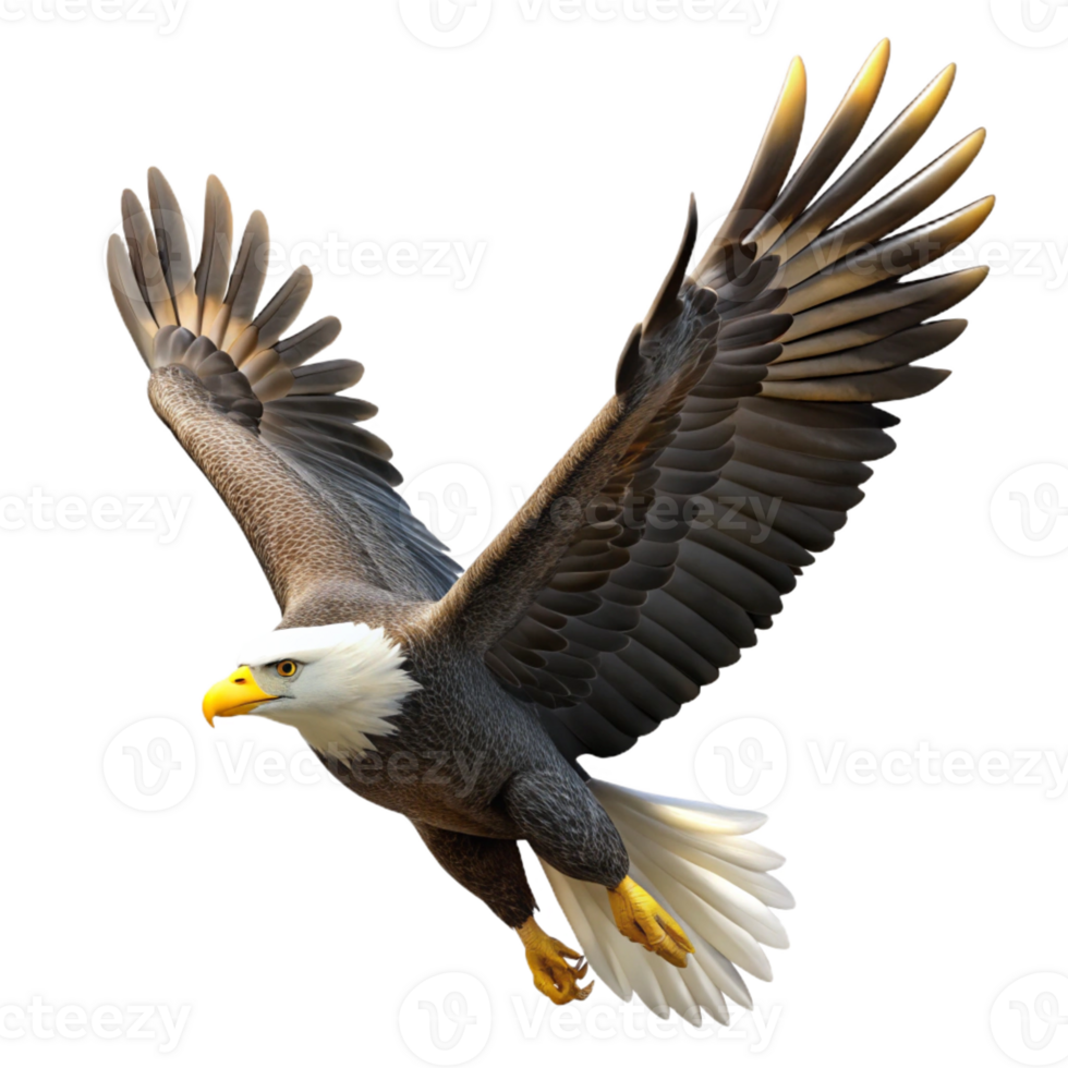 dramatic abstract A majestic bald eagle soaring through a cloudless sky, sunbeams highlighting its wingspan, photorealistic style original png