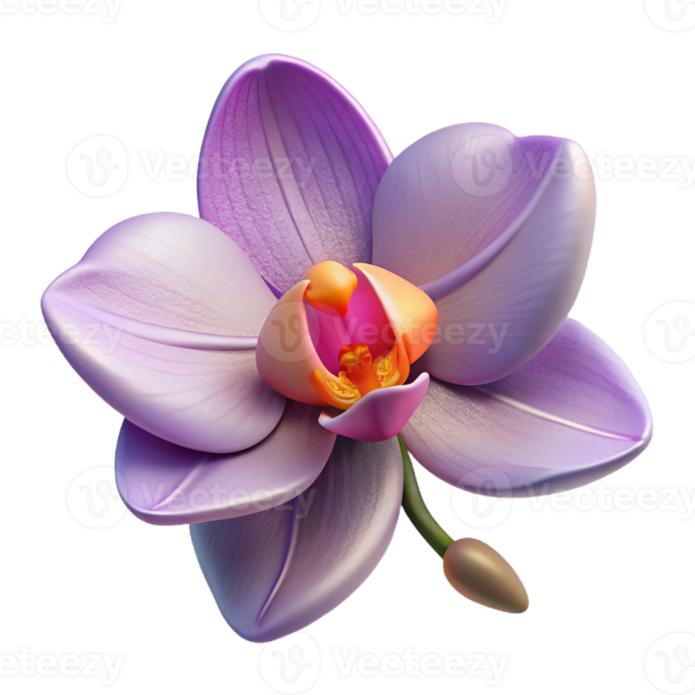 dramatic modern A Close Up of a Blooming Orchid Exotic original png