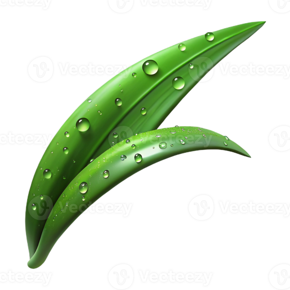 magnificent minimalist A Close Up of a Dew Covered Blade of exclusive png