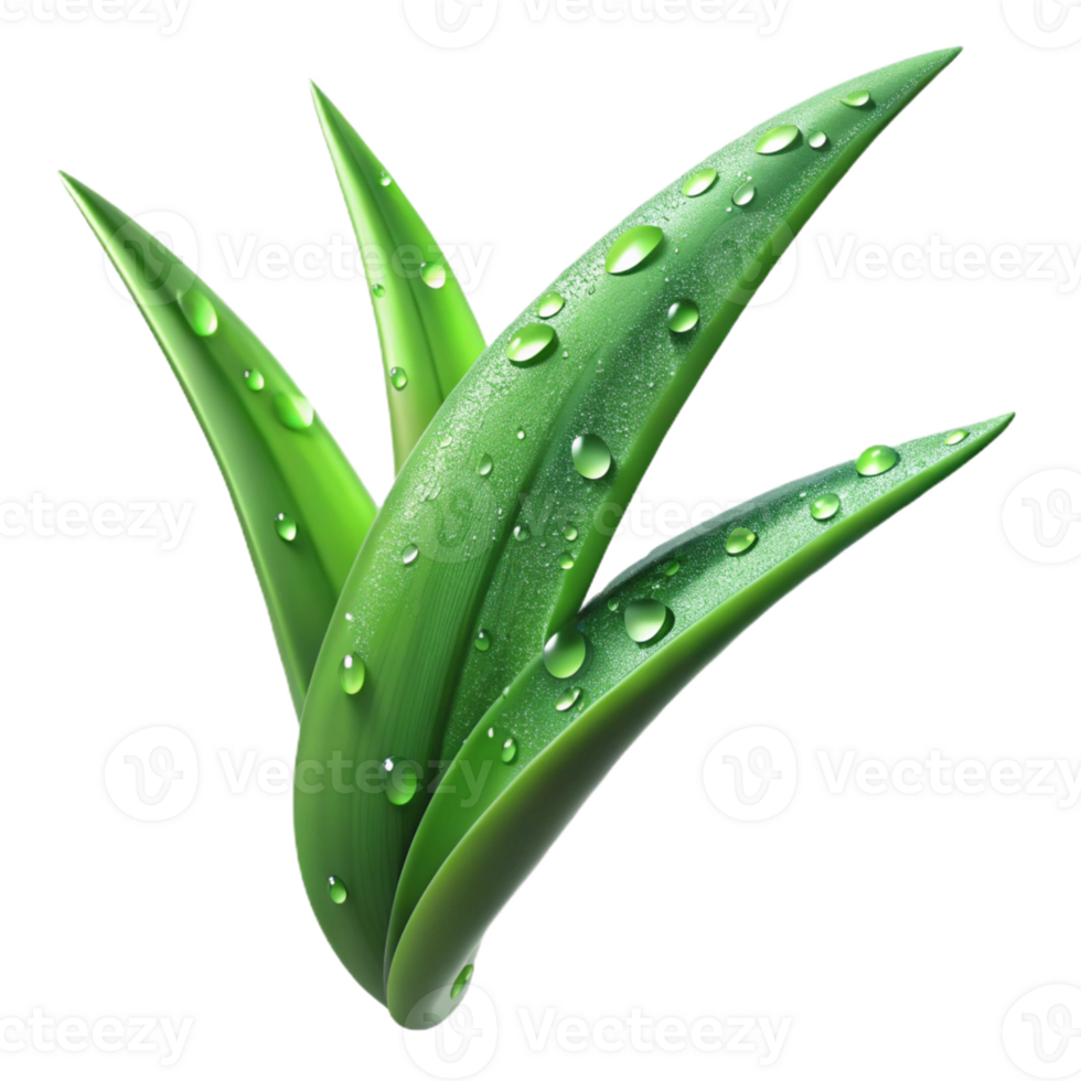 extraordinary creative A Close Up of a Dew Covered Blade of premium png