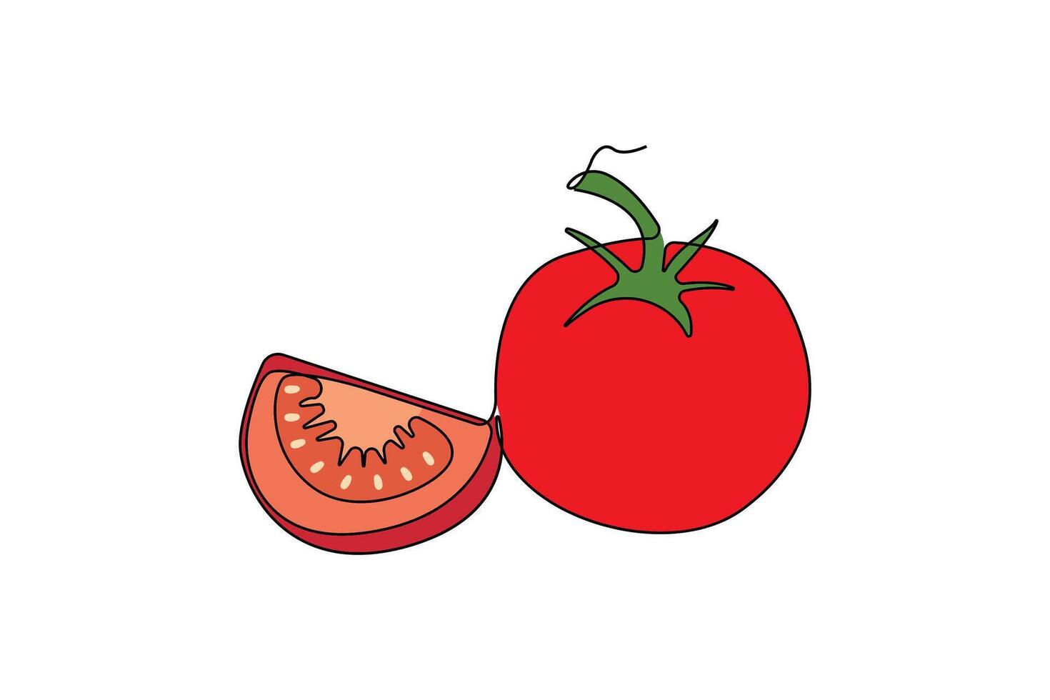 Hand-drawn tomato line art drawing. Tomato food linear icon . vector