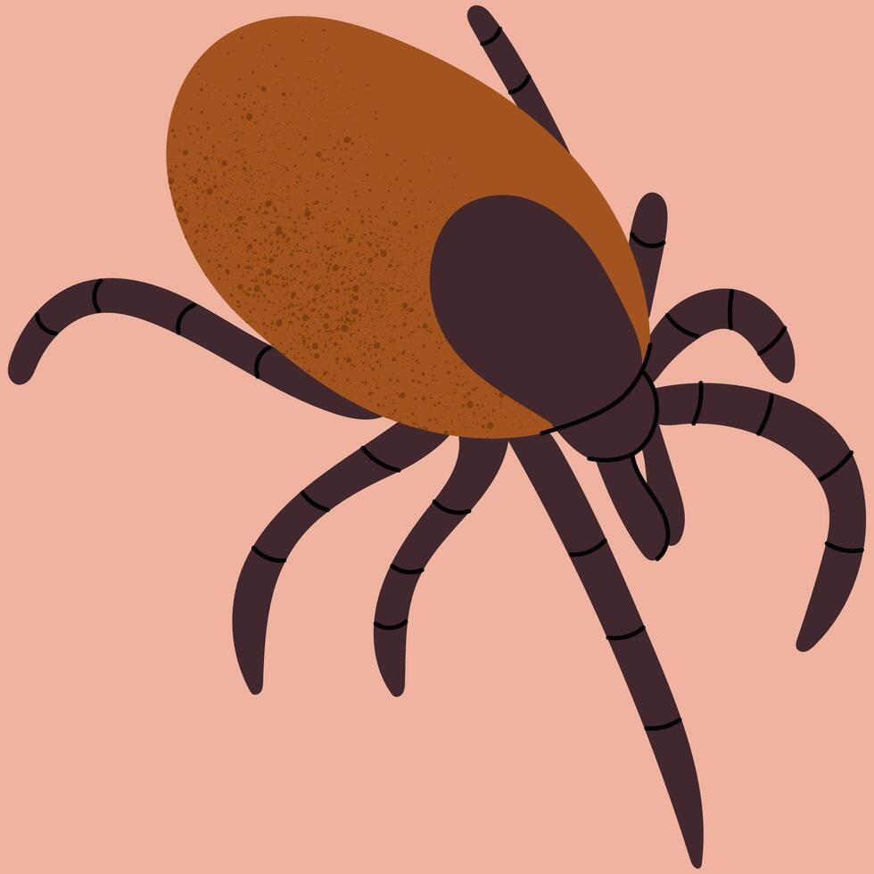 Encephalitis tick biting human skin causing lyme disease. Wild or domestic tick, skin parasites. House dust mite allergy. vector