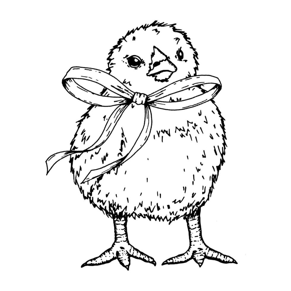 A black and white ink illustration of a fluffy chick wearing a ribbon. Chicken for Easter-themed cards, packaging, children s books, branding, scrapbooking, textile prints, DIY, invitations vector