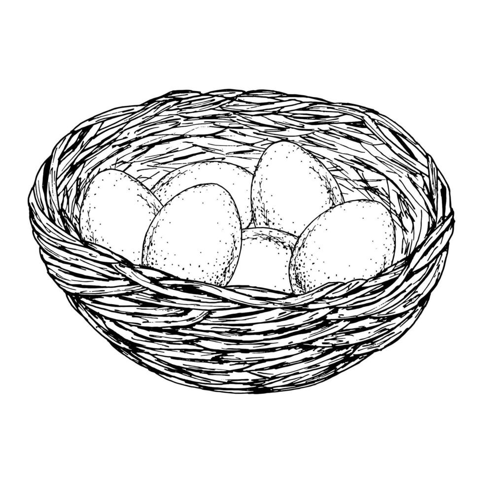 Black and white ink drawing of three willow branches. Hand-drawn spring botanical illustration for seasonal cards, invitations, packaging, nature-themed designs, or religious celebration vector