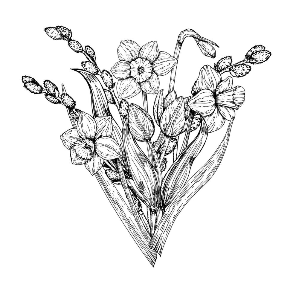 Detailed black and white hand drawn illustration of blooming daffodils and tulip buds with long leaves. Ink clip art is suitable for spring themes, floral books, botanical prints, garden projects. vector