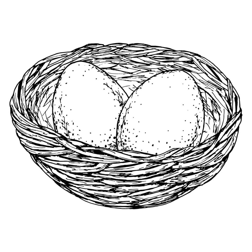 Intricate black-and-white drawing of a birds nest with eggs, symbolizing Easter, new beginnings and fertility. Great for greeting cards, packaging, decor, seasonal invitations, rustic-themed designs vector