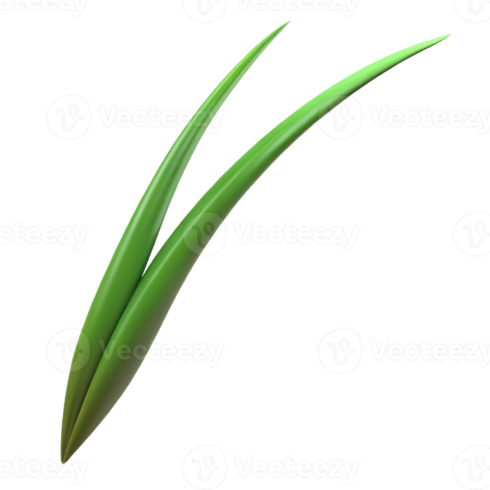 beautiful vintage A single blade of grass, close-up, minimalist style 4K png
