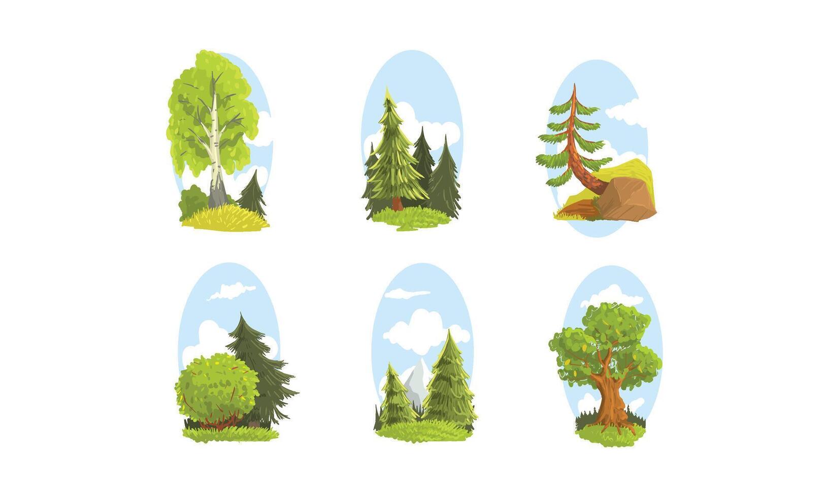 Beautiful Deciduous and Coniferous Green Trees, Summer Landscape Elements Illustration vector