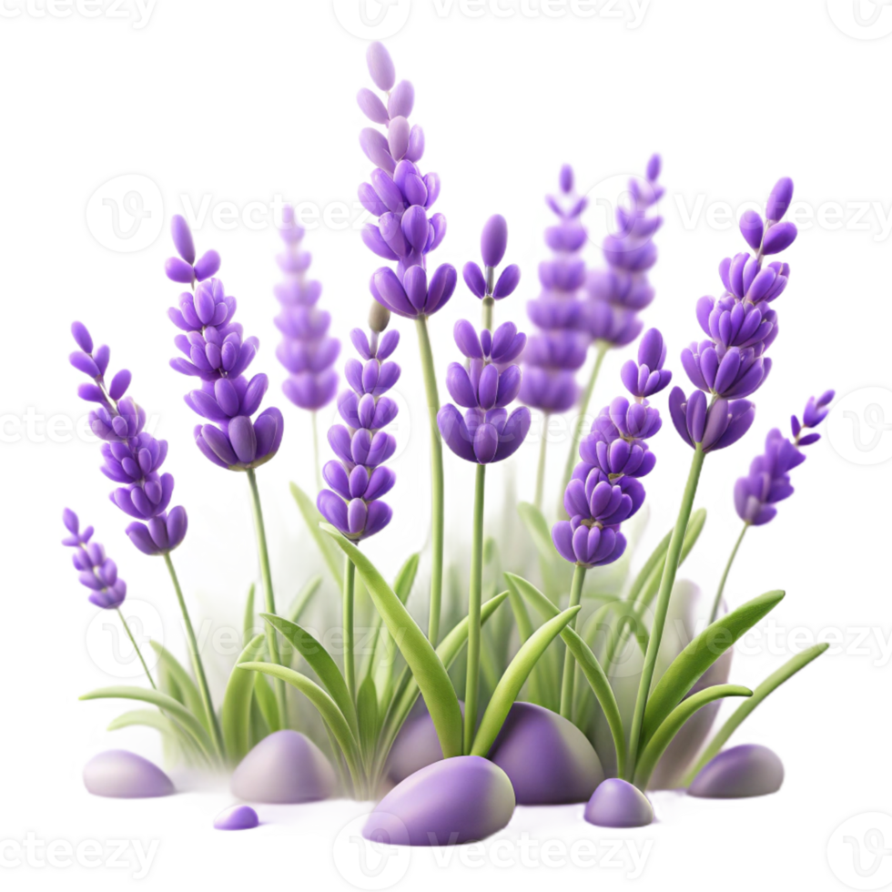 vibrant artistic A field of lavender flowers swaying in the gentle breeze, impressionistic style authentic png