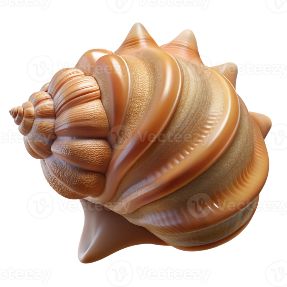 extraordinary contemporary A close-up of a seashell, intricate details, textured surface, studio lighting high resolution png