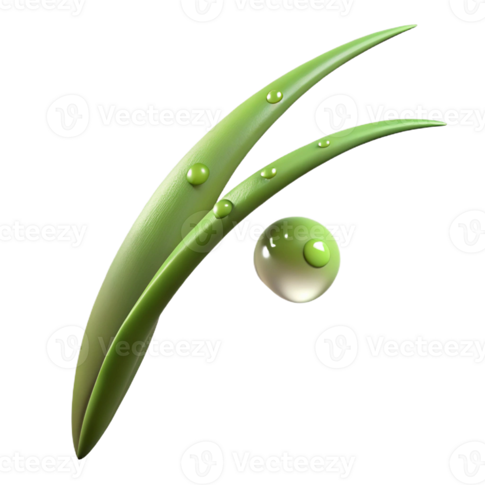 dramatic abstract elegant vintage A Single Blade of Grass with Dew Drops original 4K png