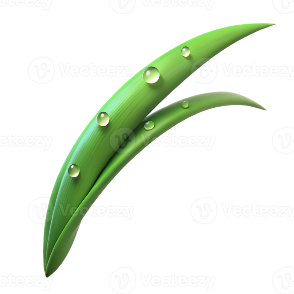 impressive abstract wonderful artistic A Single Blade of Grass with Dew Drops original original png