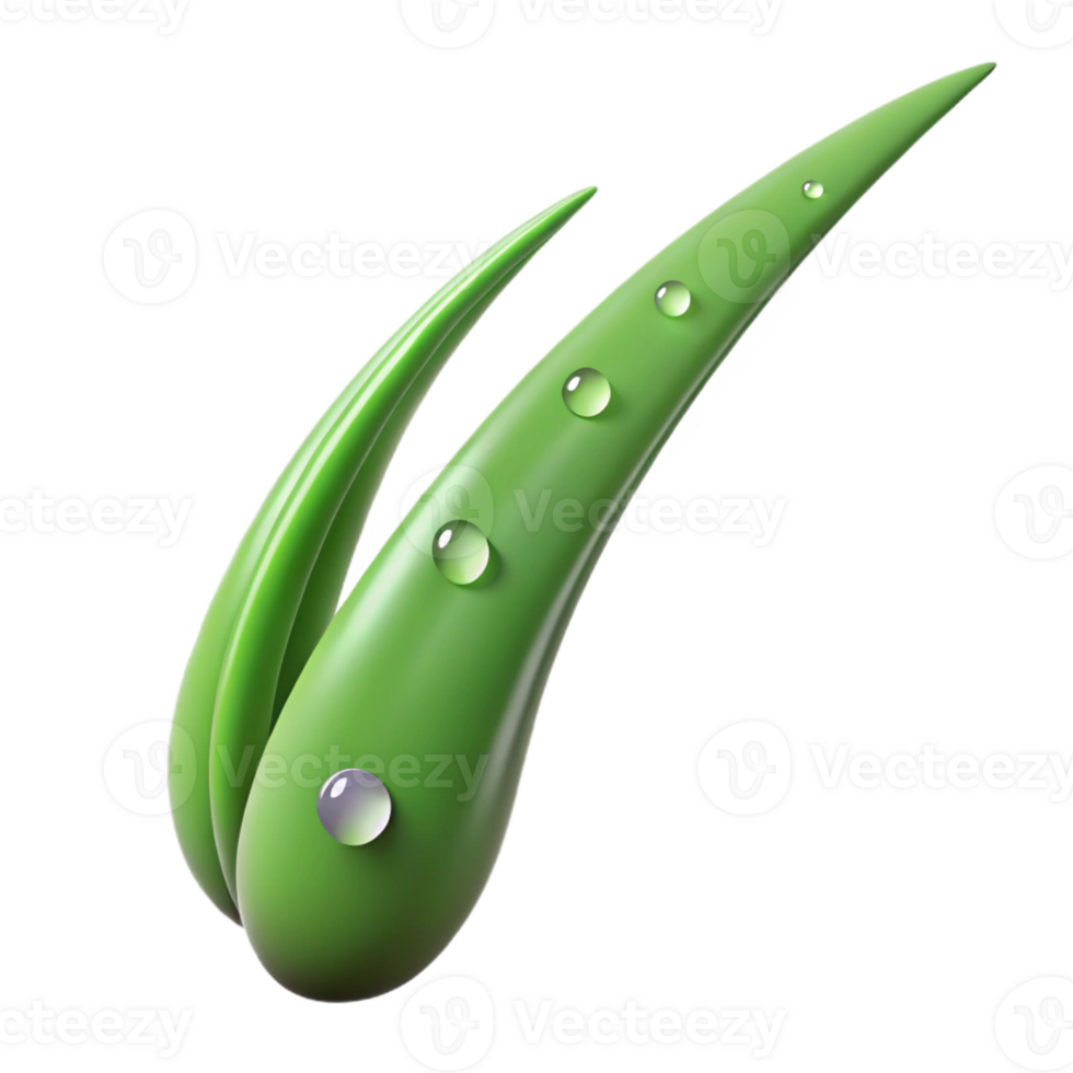 beautiful contemporary serene vintage A Single Blade of Grass with Dew Drops detailed exclusive png