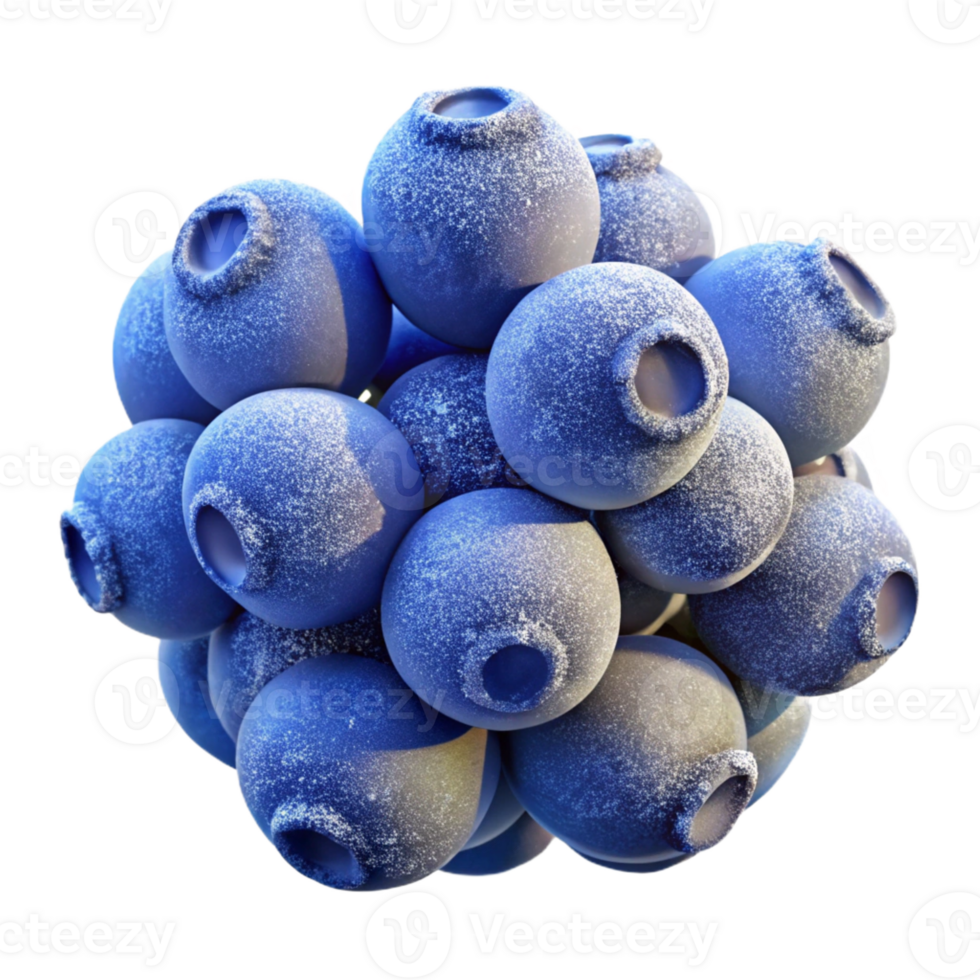 impressive contemporary Blueberries Covered in professional png