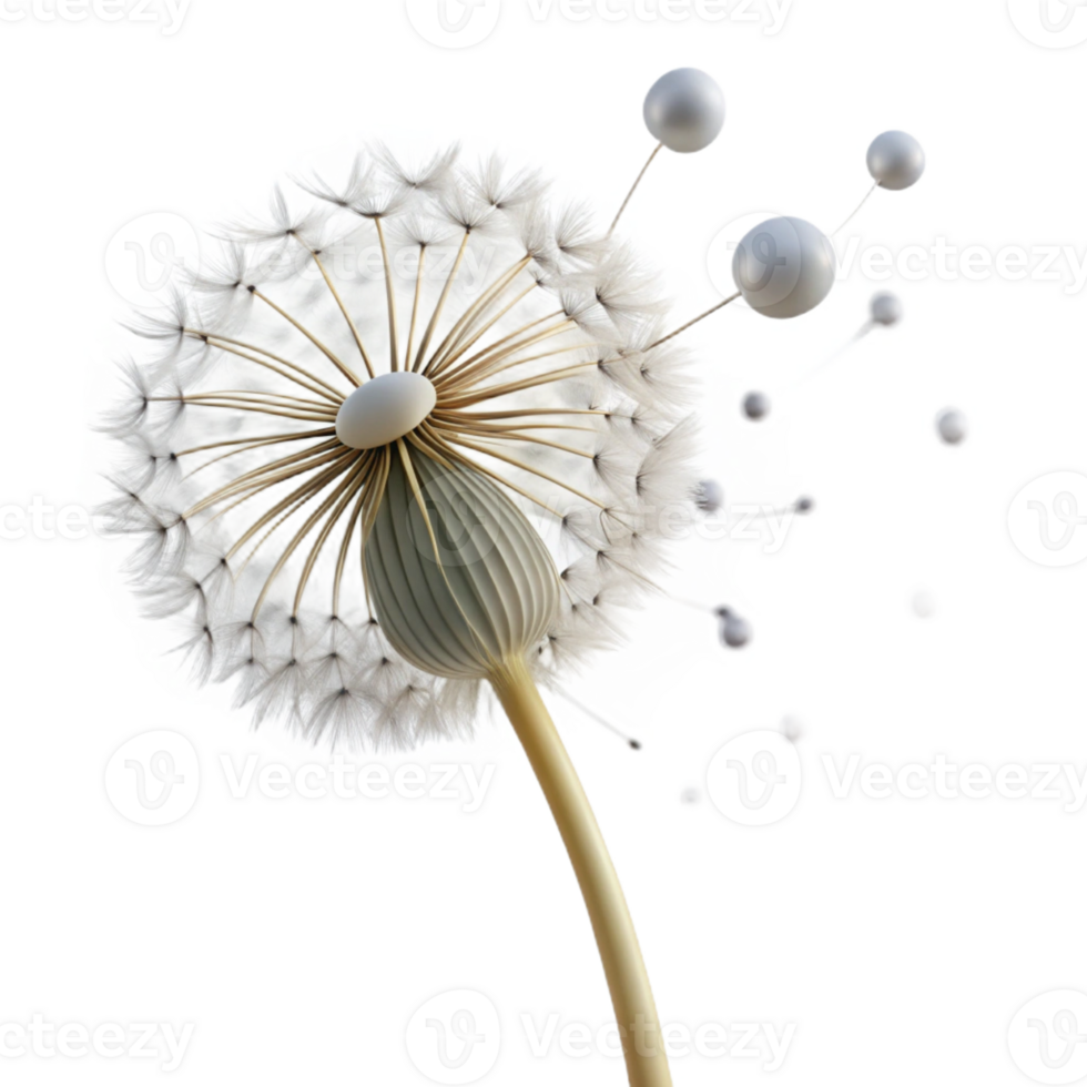 vibrant traditional magnificent traditional Dandelion Seed Head Delicate professional high quality png
