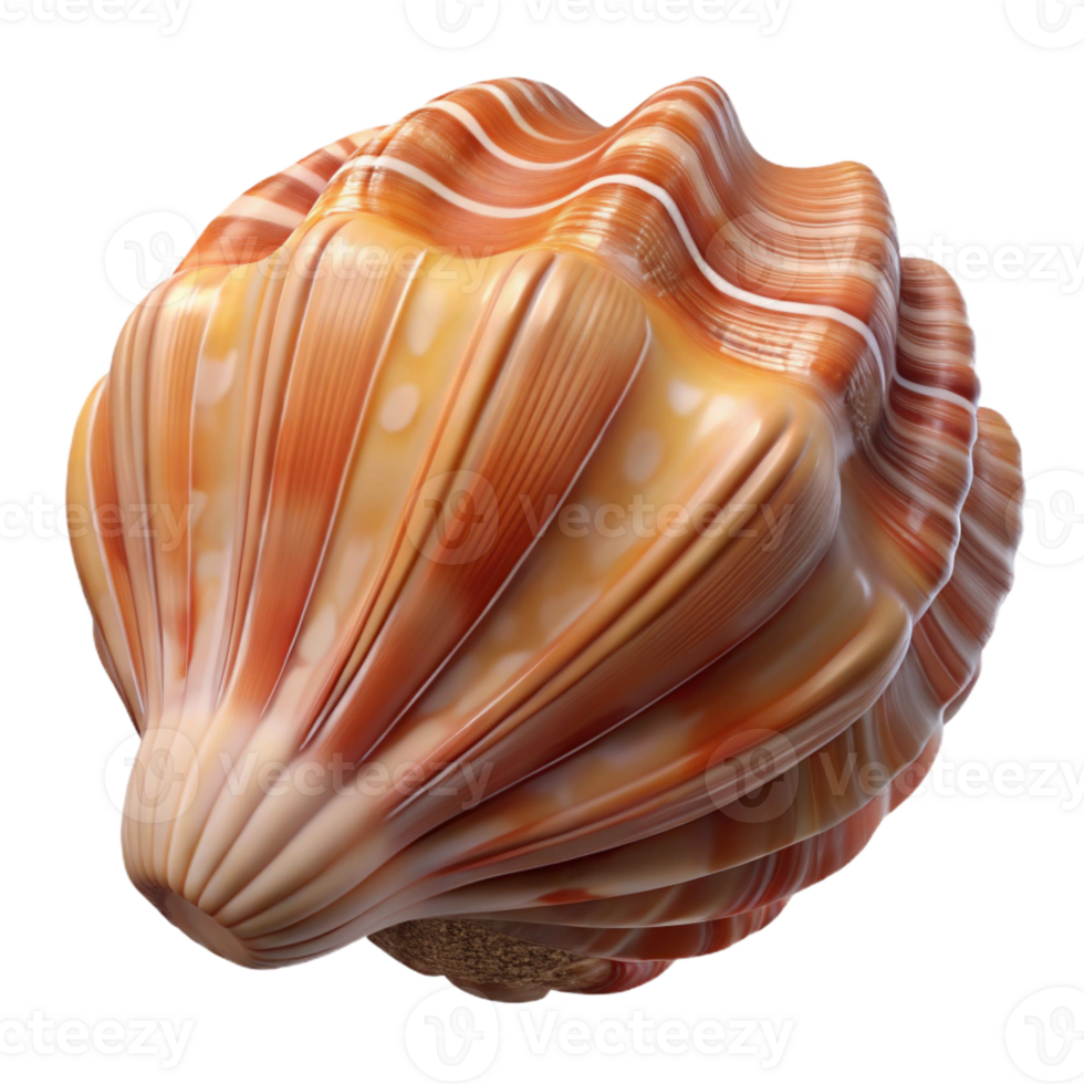 stunning traditional A Close Up of a Seashell with Intricate detailed png