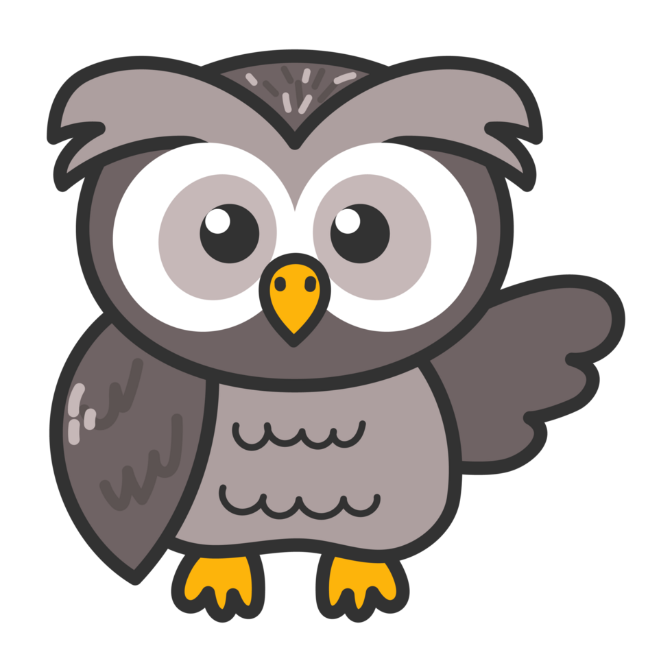 Owl bird wildlife png