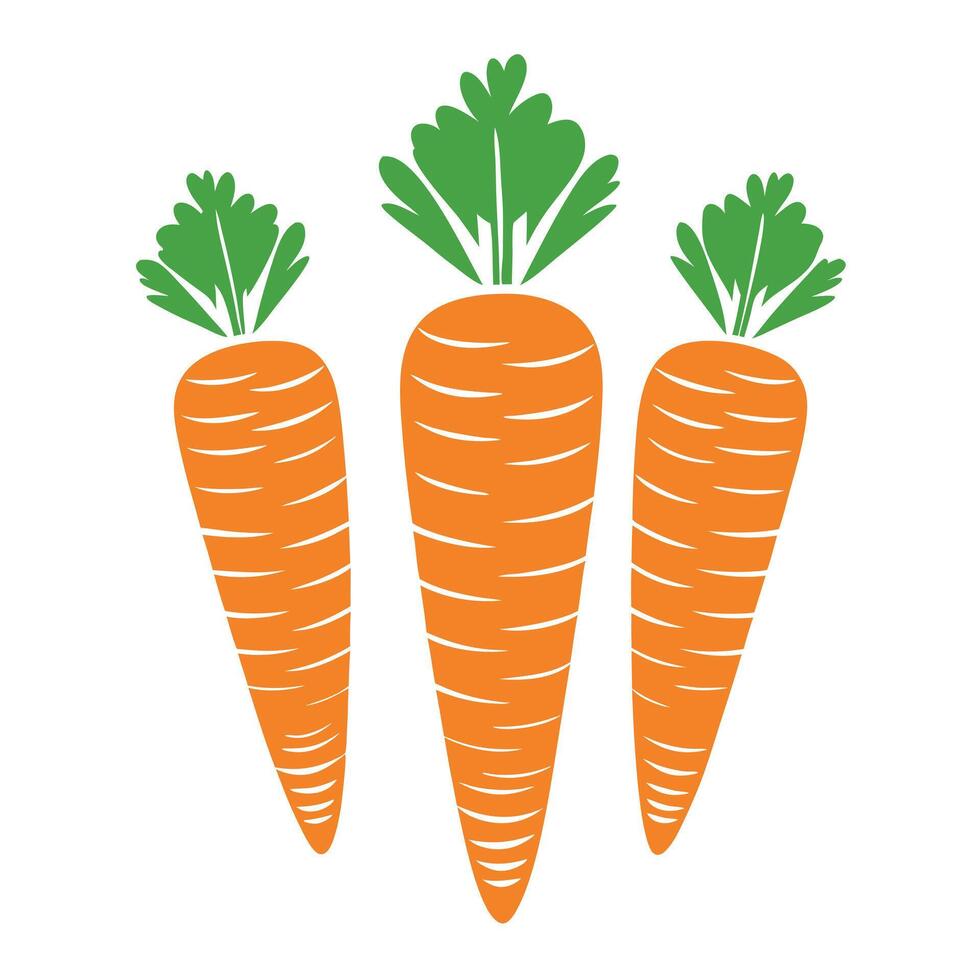 Clean Carrot Illustration for Branding vector