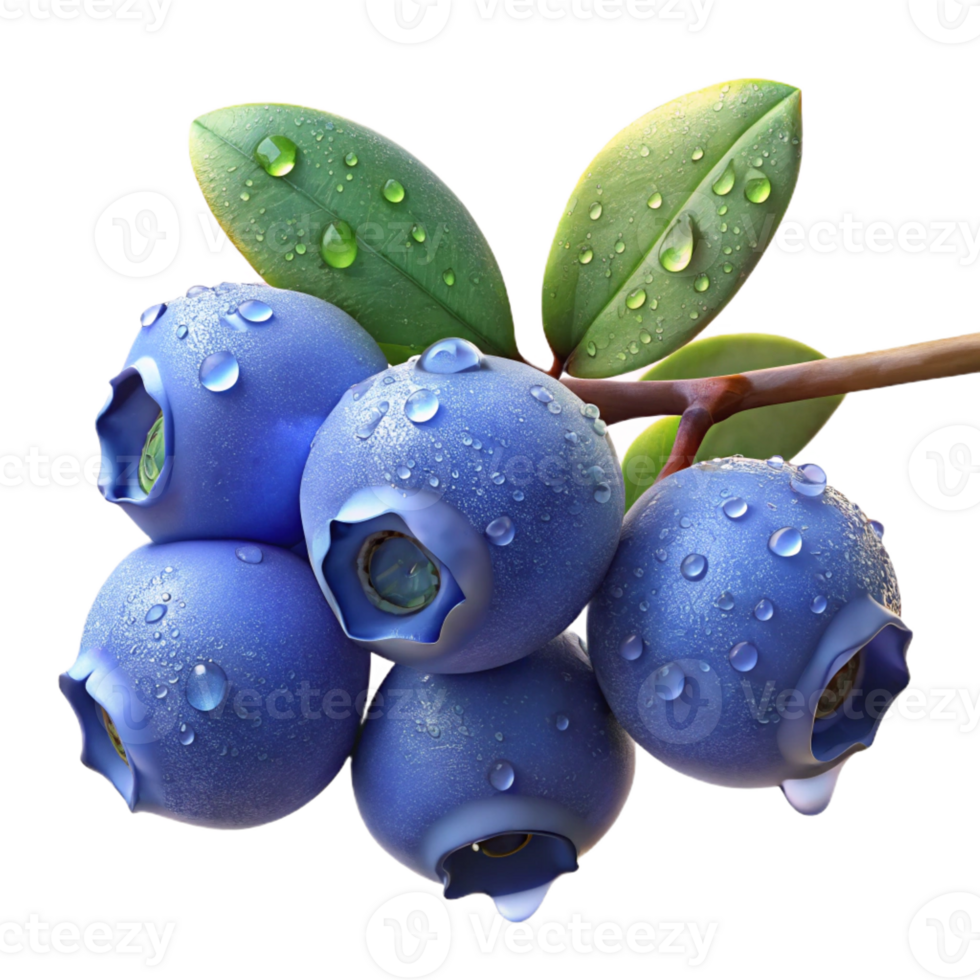 magnificent creative A Cluster of Dew Kissed Blueberries on a professional png