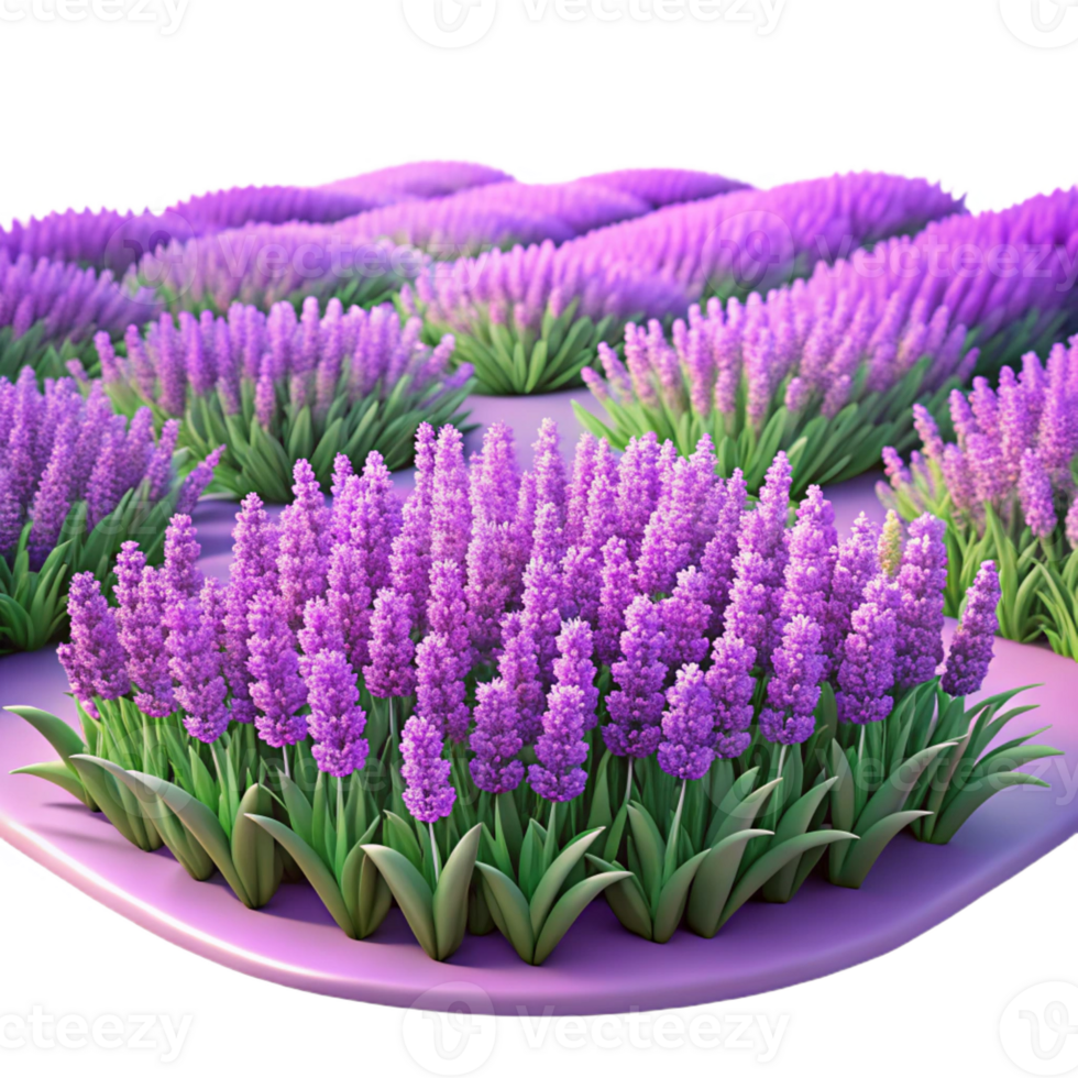 dramatic minimalist A field of lavender in full bloom, vibrant purple, impressionist style, soft afternoon light exclusive png