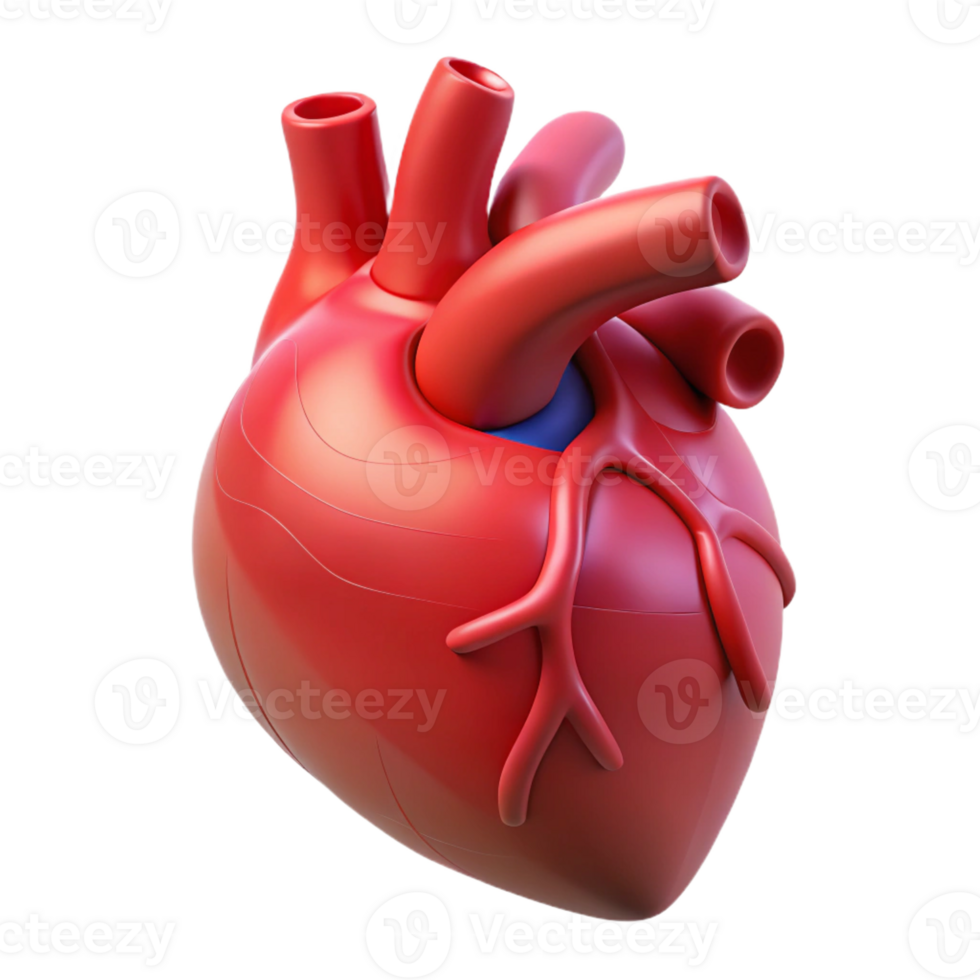 elegant creative A Digital Rendering of a Human Heart high quality png