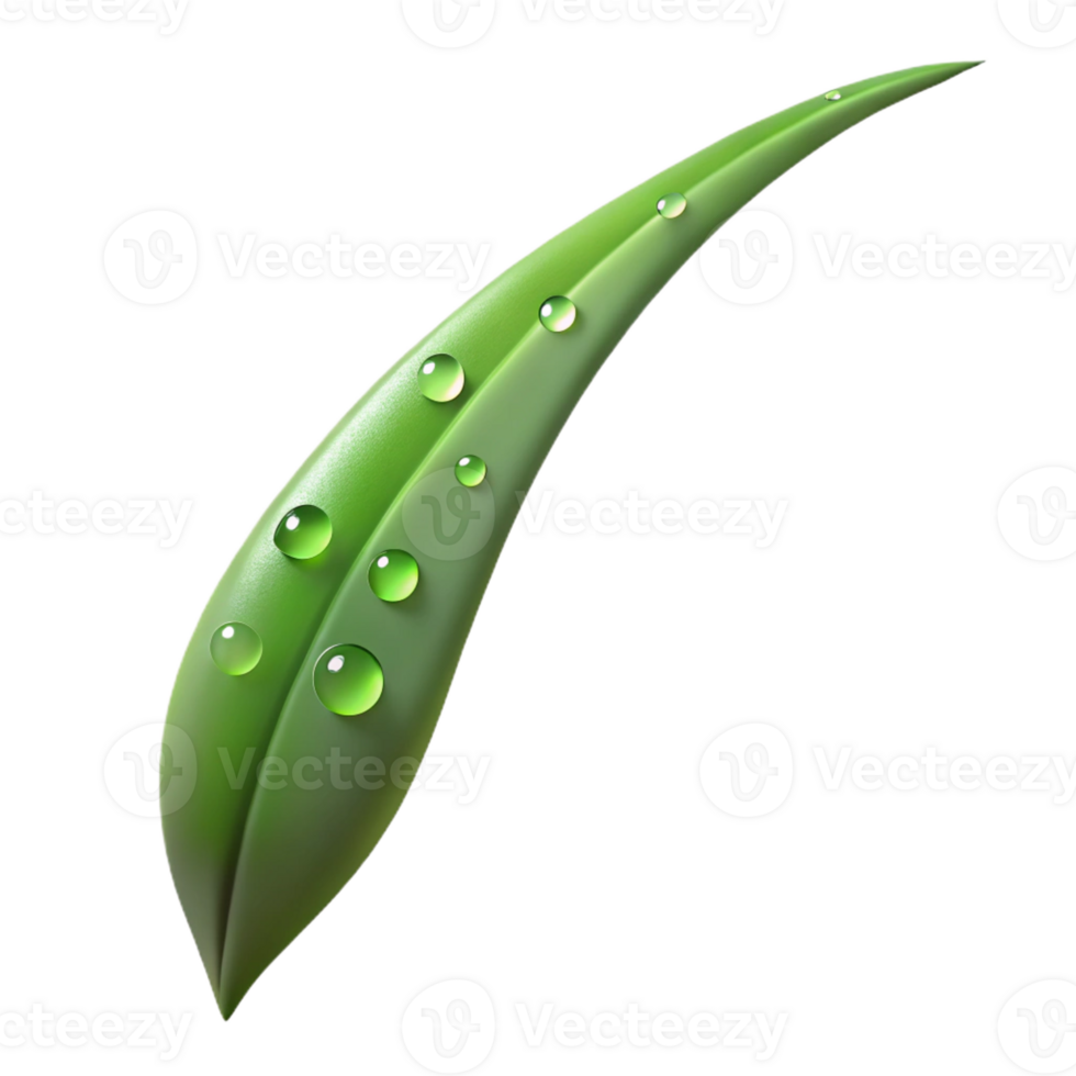 beautiful rustic A Single Blade of Grass with Dew Drops premium png