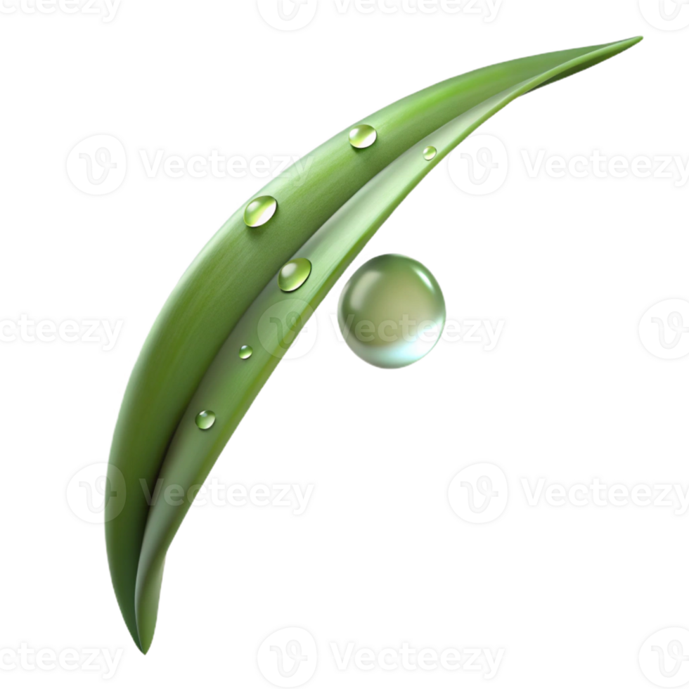 wonderful creative A Single Blade of Grass with Dew Drops original png