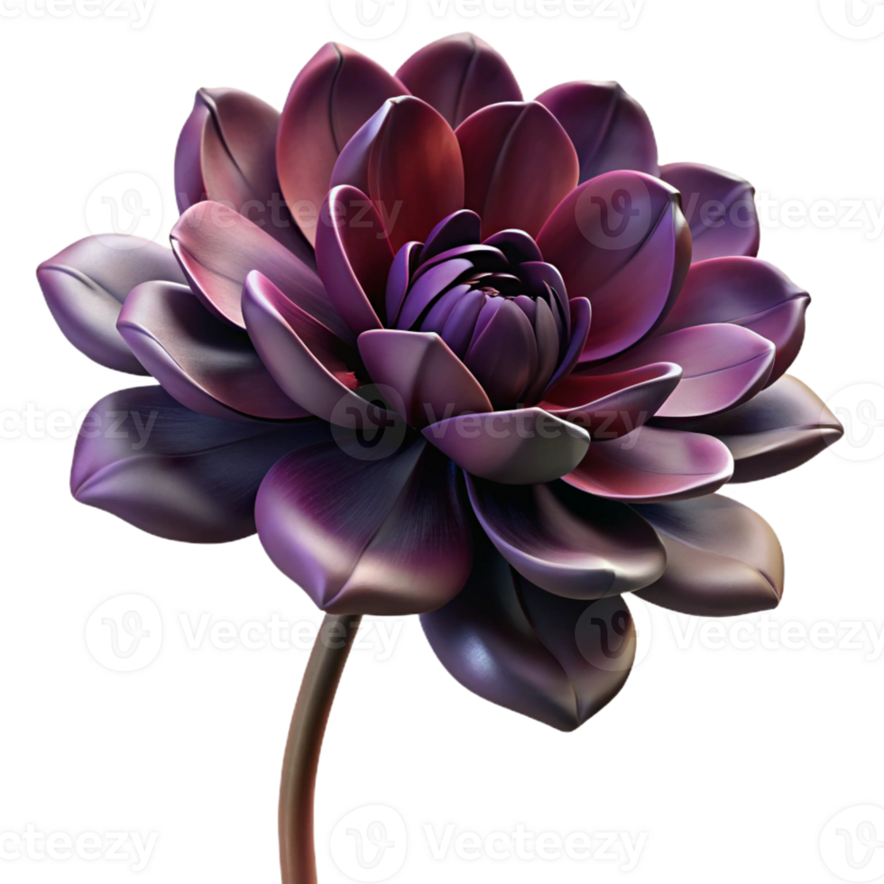 dramatic traditional A Wilting Flower Dramatic Lighting Dark exclusive png