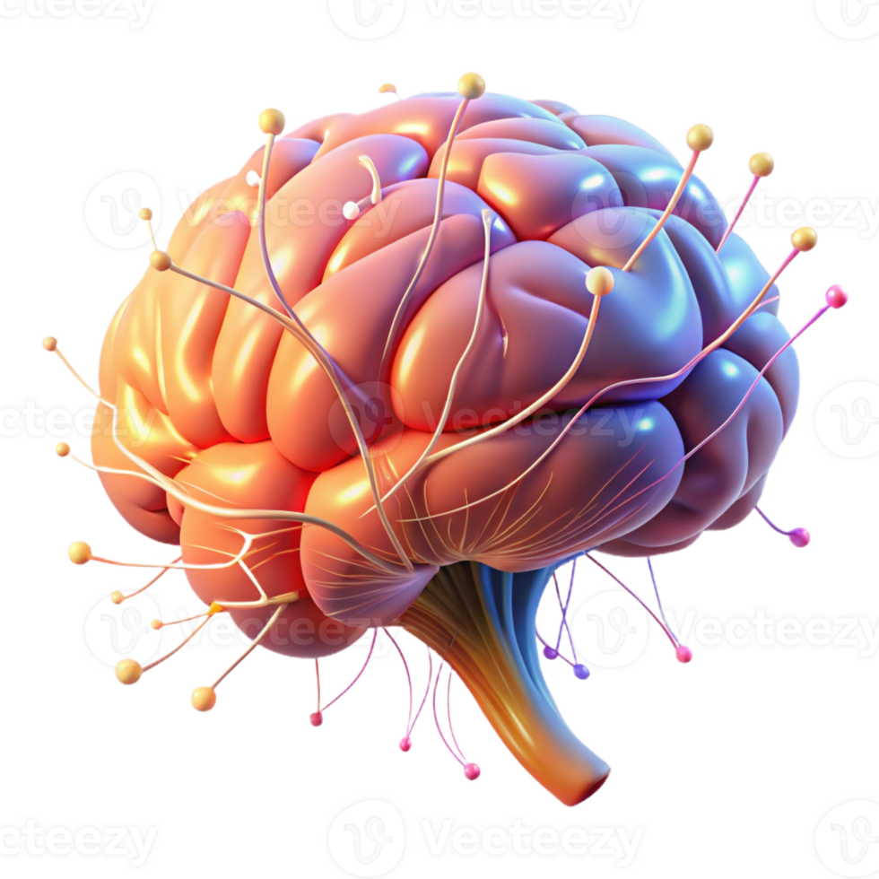 stunning artistic A D Model of a Human Brain Neural premium png