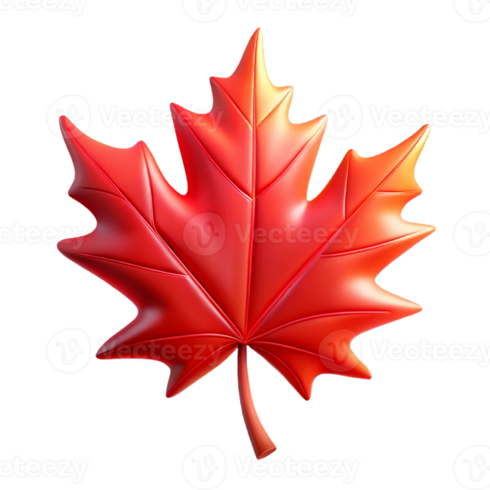serene minimalist A Single Red Maple Leaf Backlit 4K png