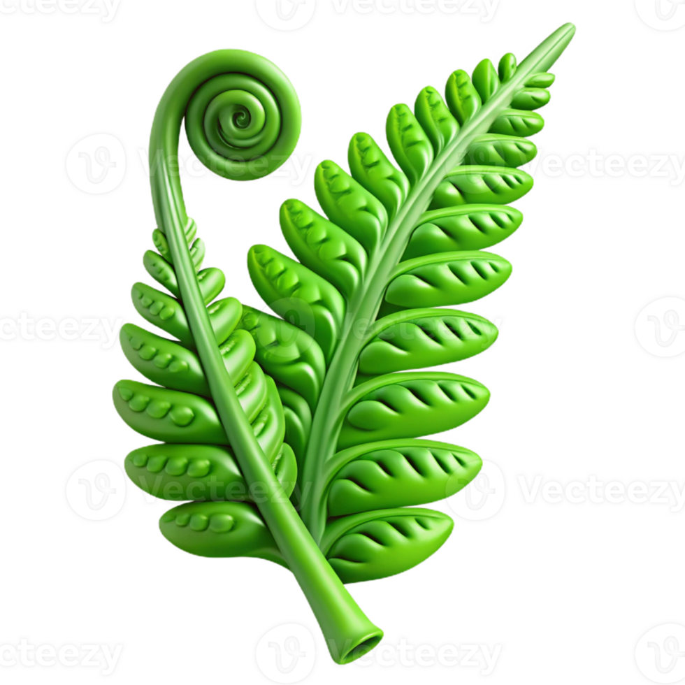 elegant classic A Lush Green Fern Unfurling Delicate high quality png