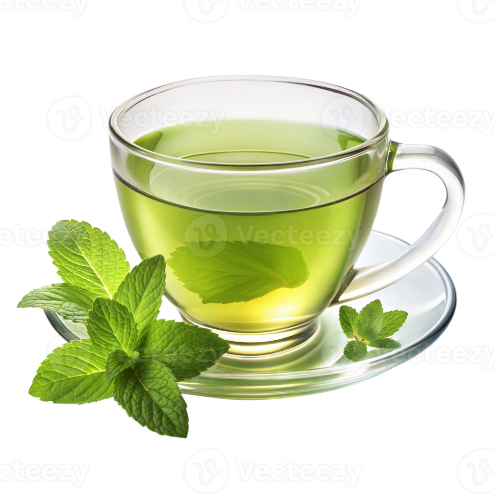 Refreshing Cup of Green Mint Tea with Fresh Mint Leaves isolated on transparent background png