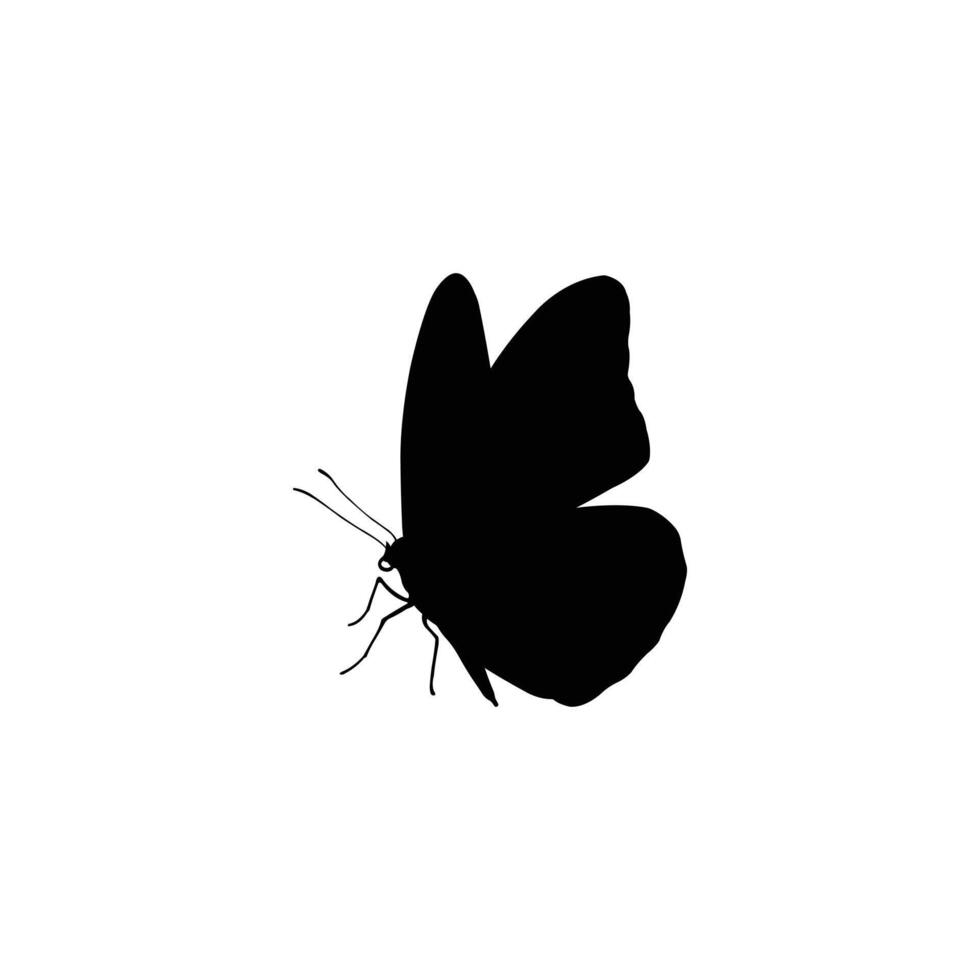 Abstract moth insect silhouette on white background for unique and creative designs vector