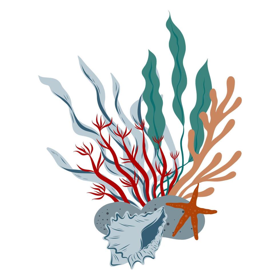 Underwater composition of coral reef, algae, seaweed and seashell. Hand drawn underwater elements. Art of nautical elements vector