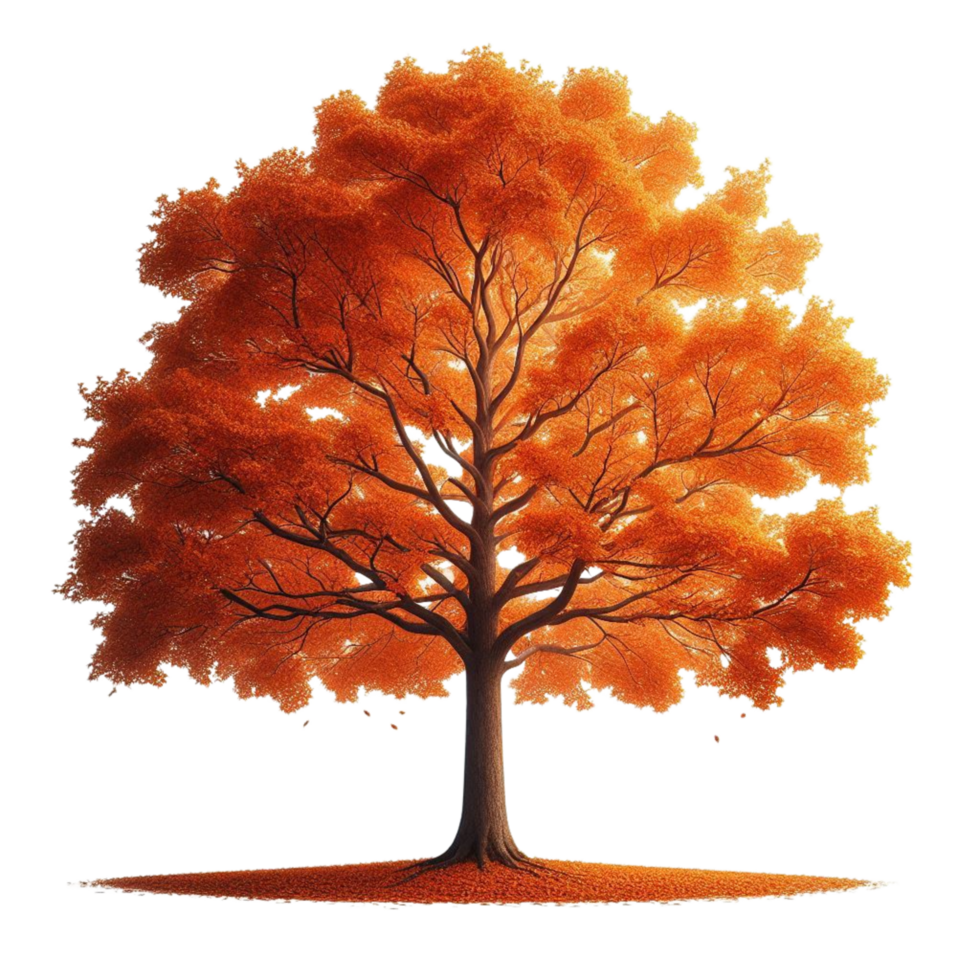 Realistic Autumn Tree with Vibrant Orange png
