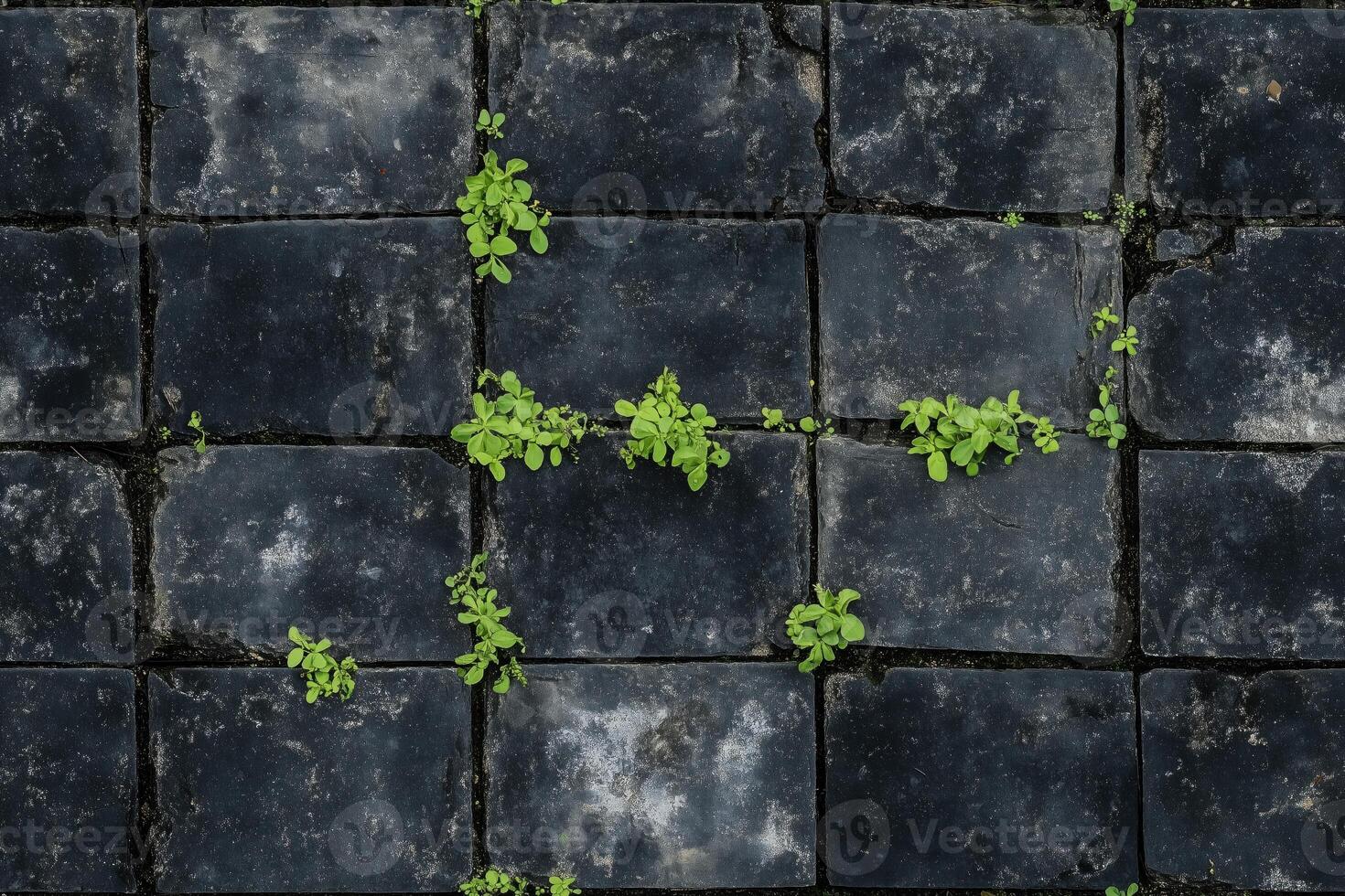 Seamless dark stone pavement with small green plants growing between the stones. The texture of the stones is rough and weathered, contrasting with the vibrant greenery. photo