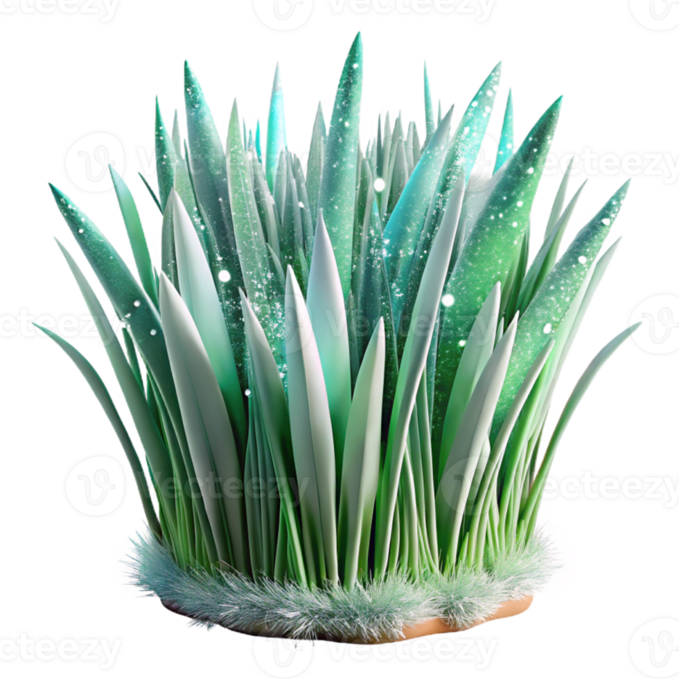 wonderful contemporary Grass Blades Macro Isolated for Scientific Illustrations authentic png