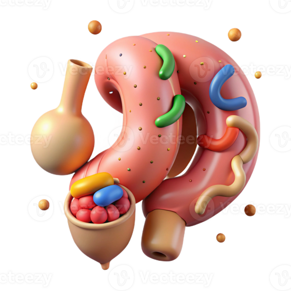 serene contemporary Human Appendix Anatomy Isolated for Surgical Information high quality png