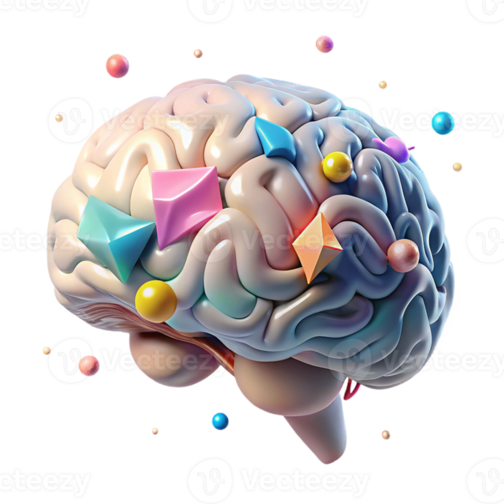 impressive artistic Human Brain Anatomy Lateral View Transparent for Science Projects high quality png