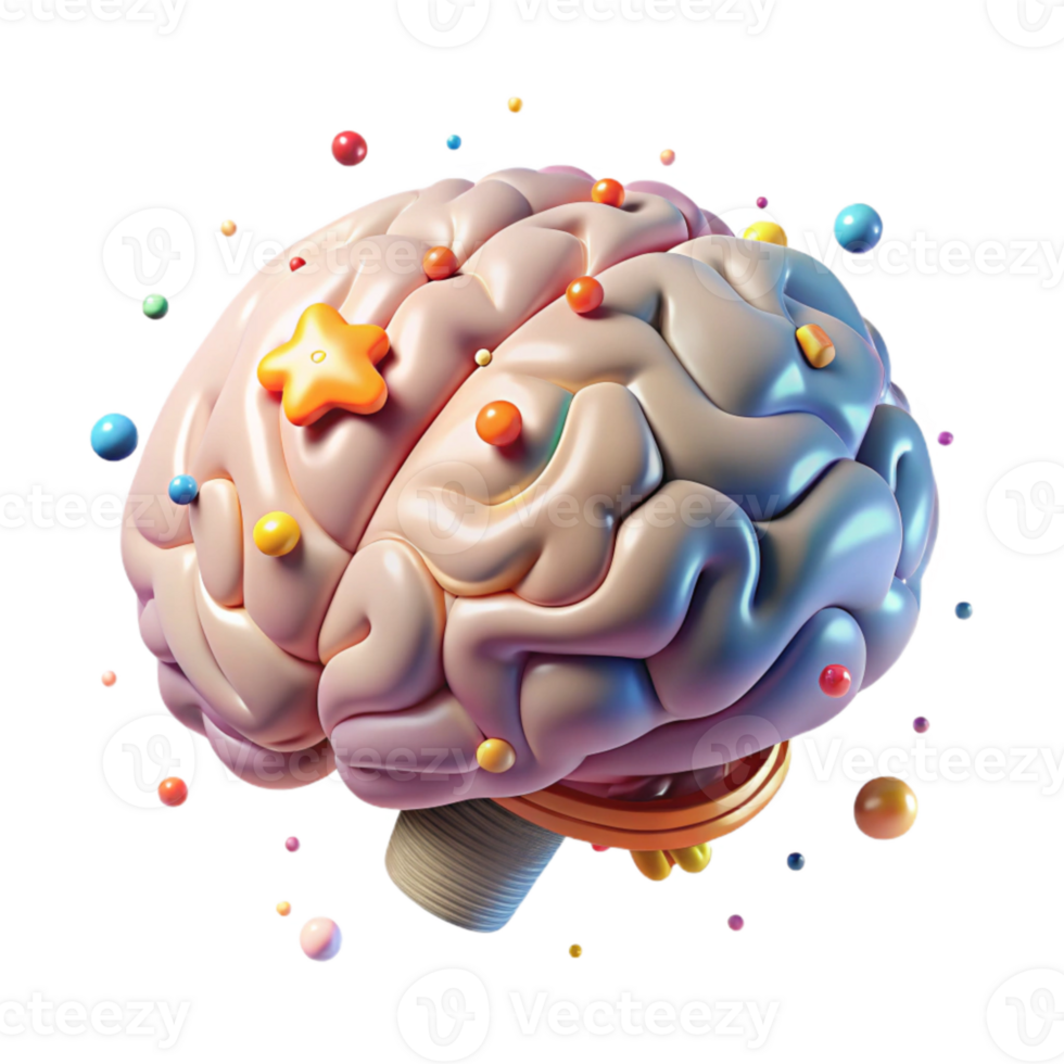 extraordinary creative Human Brain Anatomy Lateral View Transparent for Science Projects authentic png