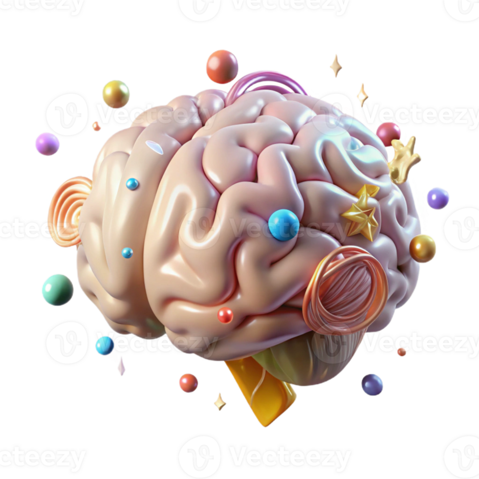 wonderful minimalist Human Brain Coronal View Transparent for Neuroscience Diagrams premium png