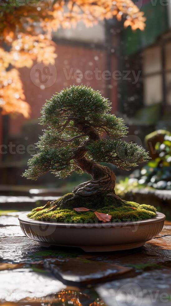 A beautifully styled bonsai tree in a round pot, surrounded by lush green moss. The scene is illuminated by soft sunlight filtering through leaves, creating a serene atmosphere. photo