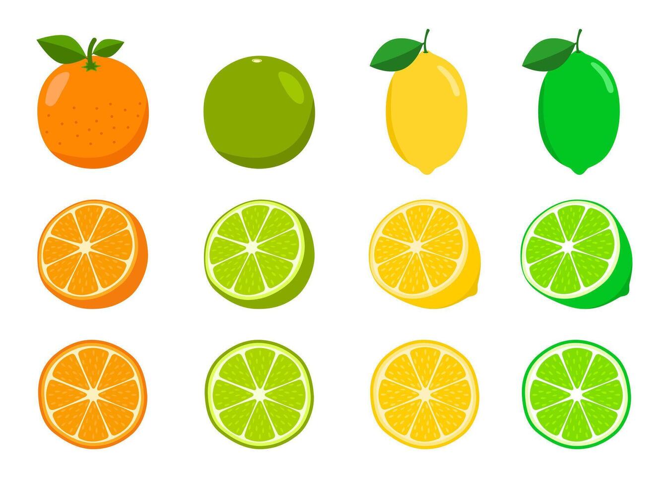 Set of oranges, lemons and limes. halved and thinly sliced. vector