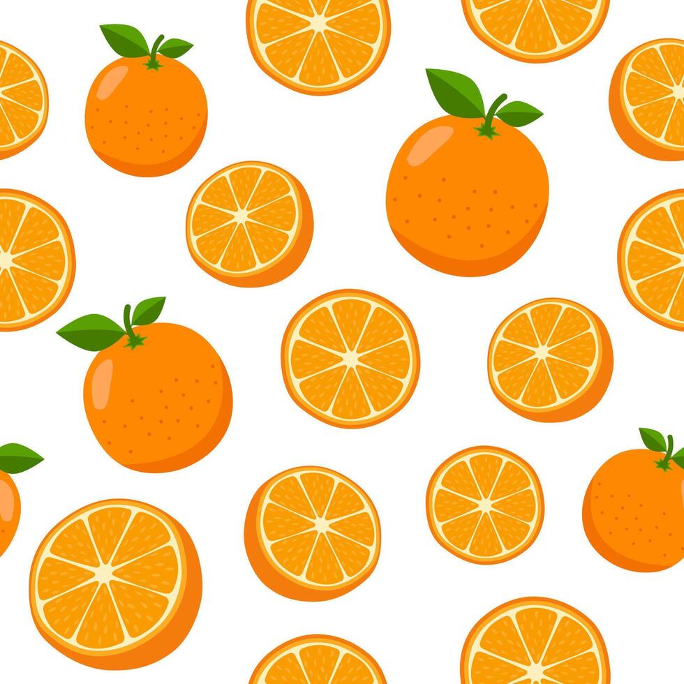 seamless pattern with oranges on white background vector