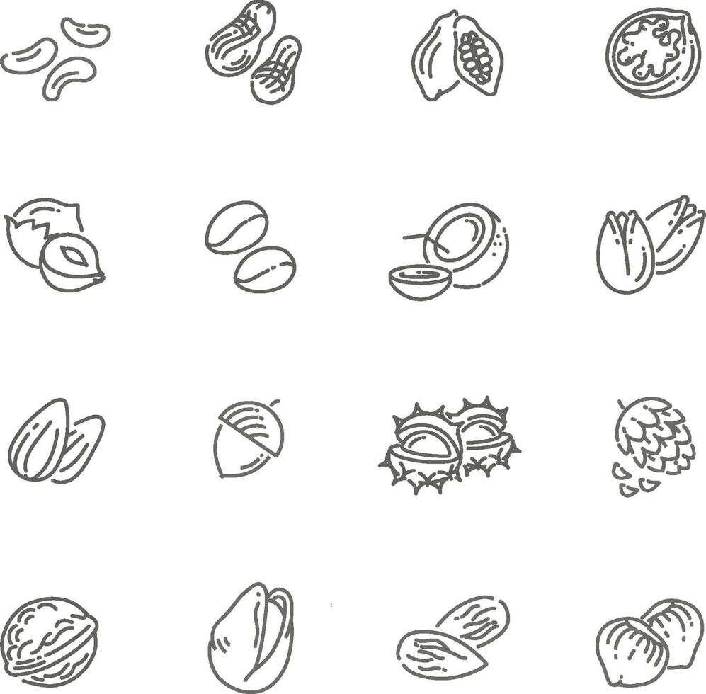 web icons collection - nuts, beans and seed vector