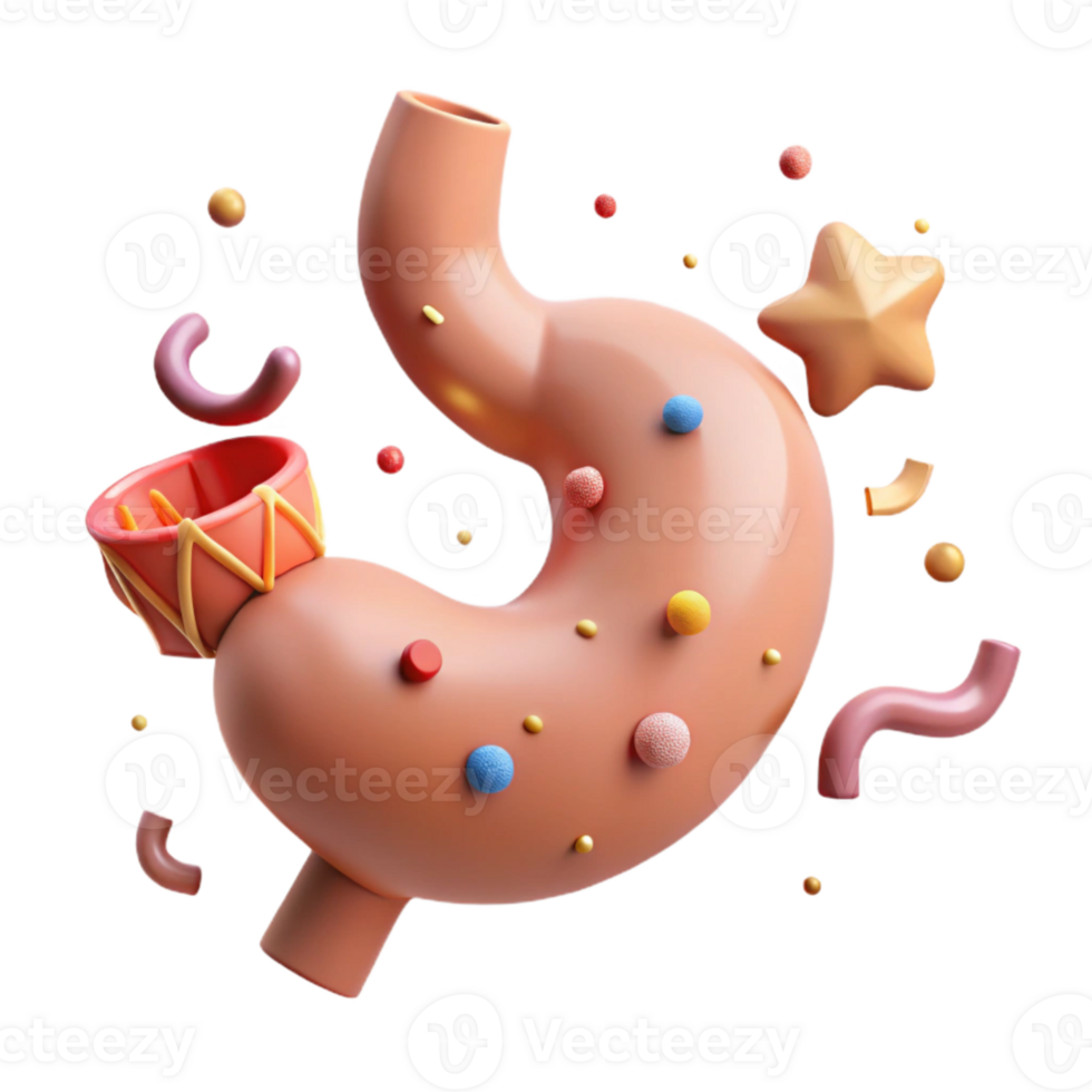 impressive modern Human Stomach Anatomy Cutout for Digestive Health Studies exclusive png