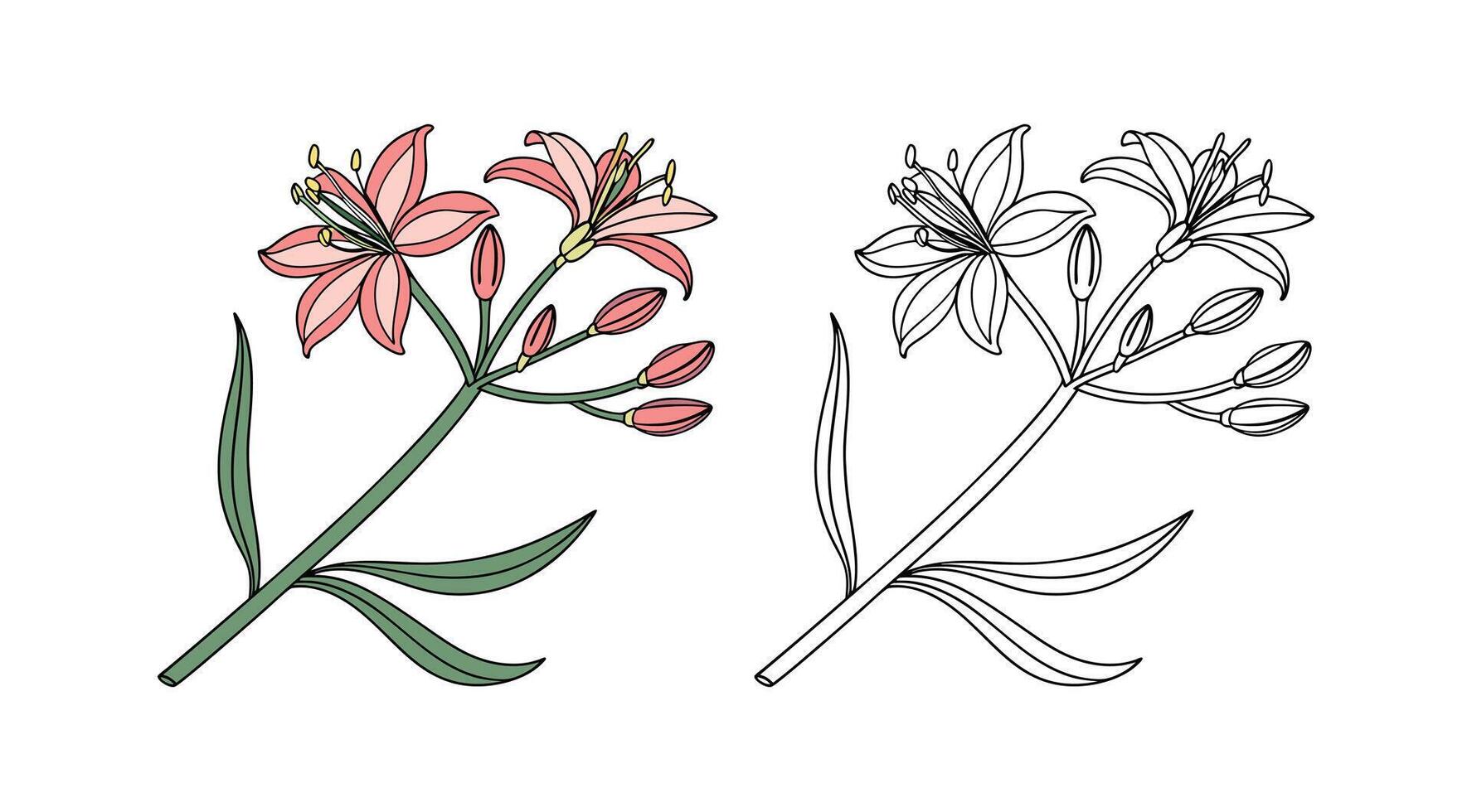Beautiful Cushion Spurge Floral Illustration for Garden Decor