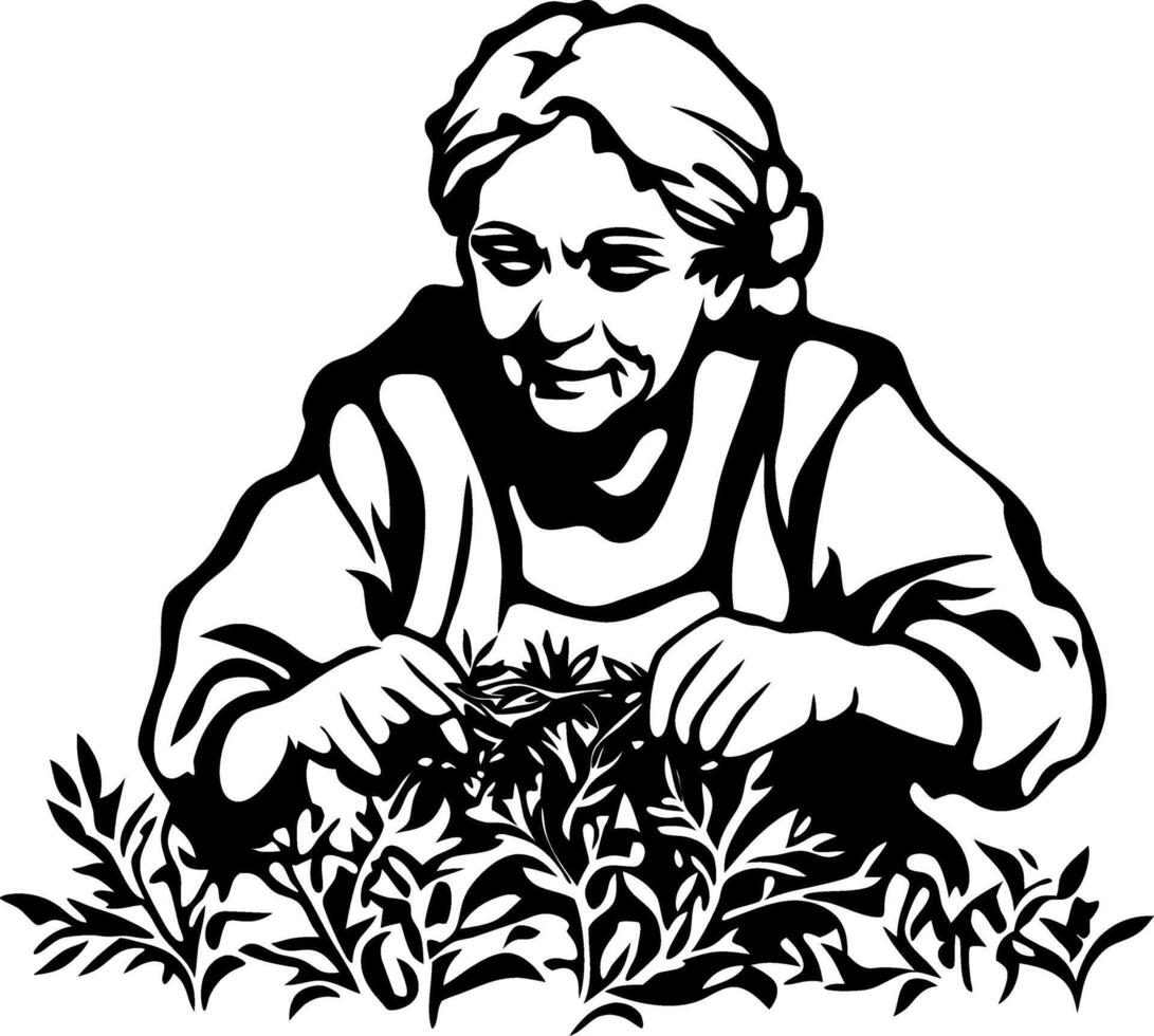 Elderly Woman Tending to Garden Harvesting Fresh Herbs Vintage Style Illustration vector